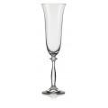 Angela Champagne Glass - 190 ml 