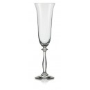 Angela Champagne Glass - 190 ml 