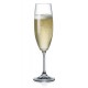 Lara Champagne Glass - 220 ml