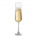 Sandra Champagne Glass - 200 ml
