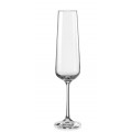 Sandra Champagne Glass - 200 ml