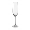 Viola Champagne Glass - 190 ml