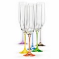 Rainbow Champagne Glass - 190 ml